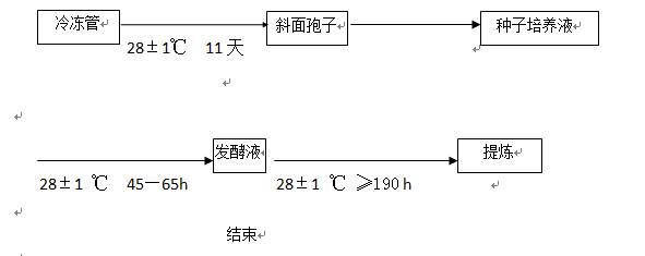 微生物发酵流程图