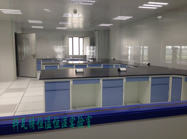 恒温恒湿实验室建设
