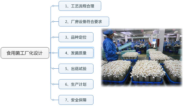 食用菌工厂化需要注意的七点